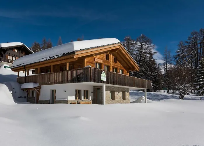 Domus Major Tatil Evi